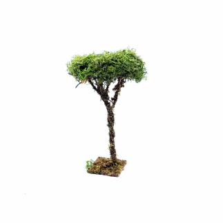 Tree for nativity scenes, 12/13 cm