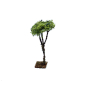 Tree for nativity scenes, 9/10 cm